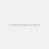 Anti-Bovine Plasma Proteins